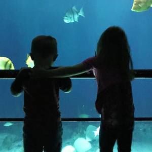 Meet your Posher, Chad